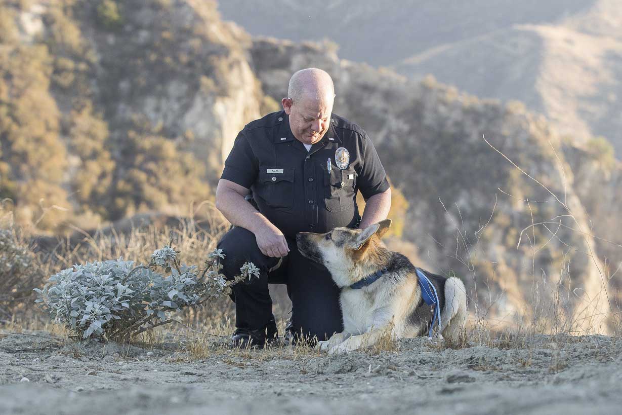 DianeLewisPhotography-46-1