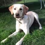 Macie11-150x150