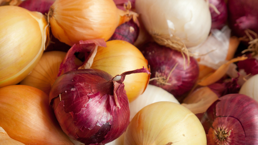 Is Onion Toxic to Cats? 