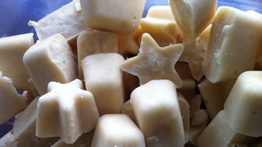 Frozen Pet Treat Recipe