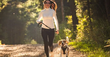 Winter activities for your pet