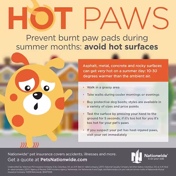 July-2018-Pet-Gazette-Treats-for-Employees