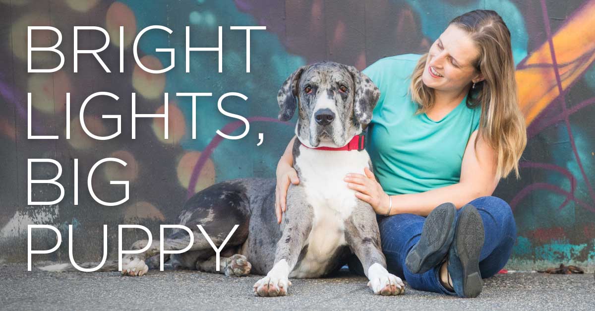 Real-Life January 2020