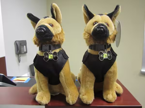 K9s