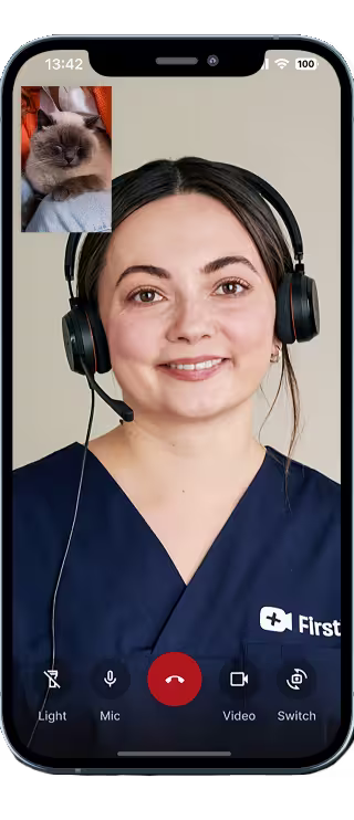 First vet professional on phone