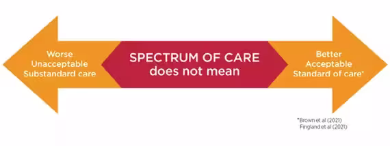 9143 VET Spectrum of Care Landing Page Graphics4