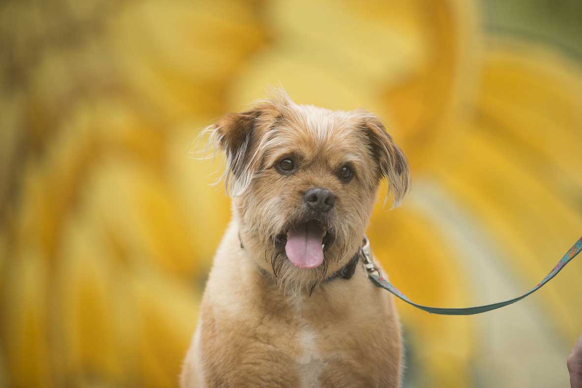 DianeLewisPhotography-132