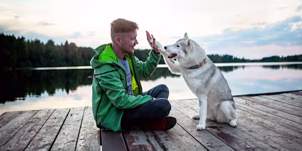 Start the new year off on the right paw