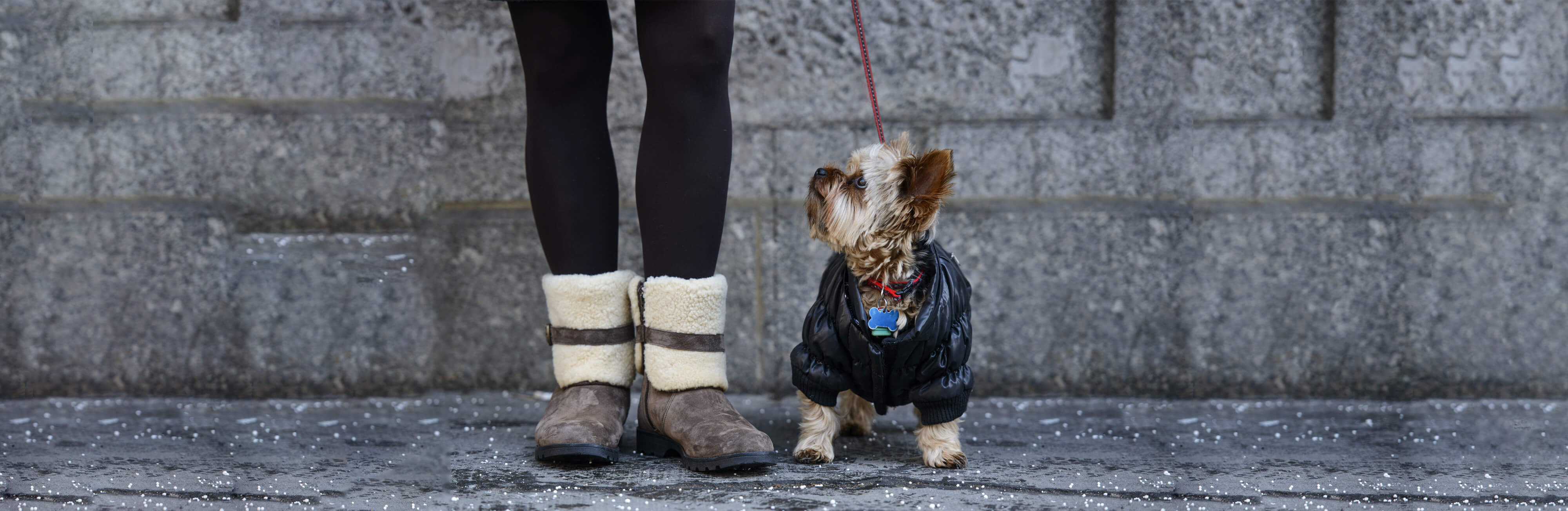 Who wants to go for a walk?