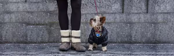 Who wants to go for a walk?