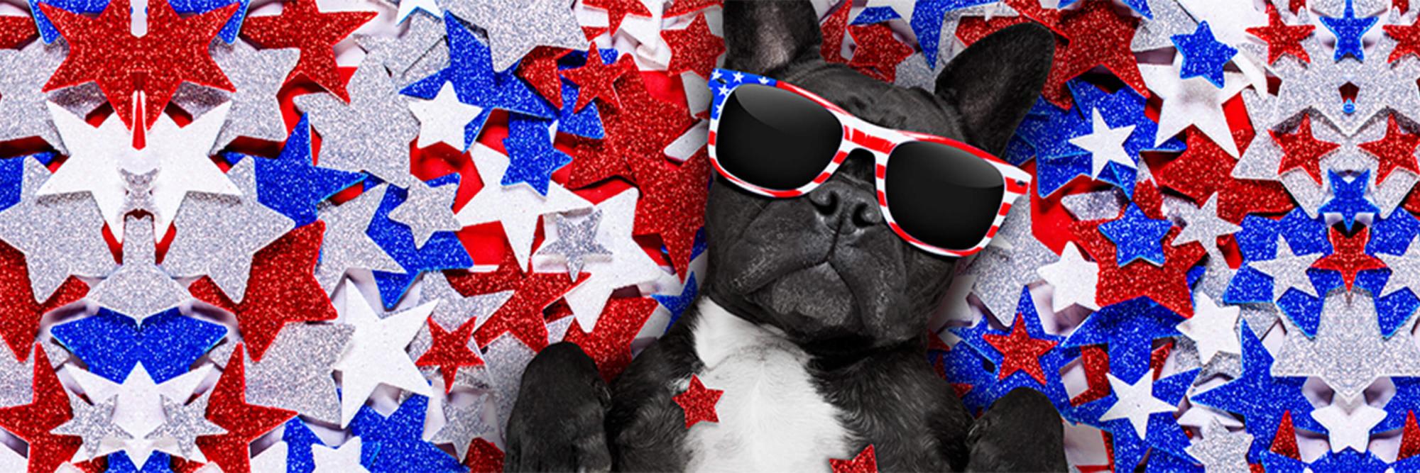 Stars and stripes fur-ever!