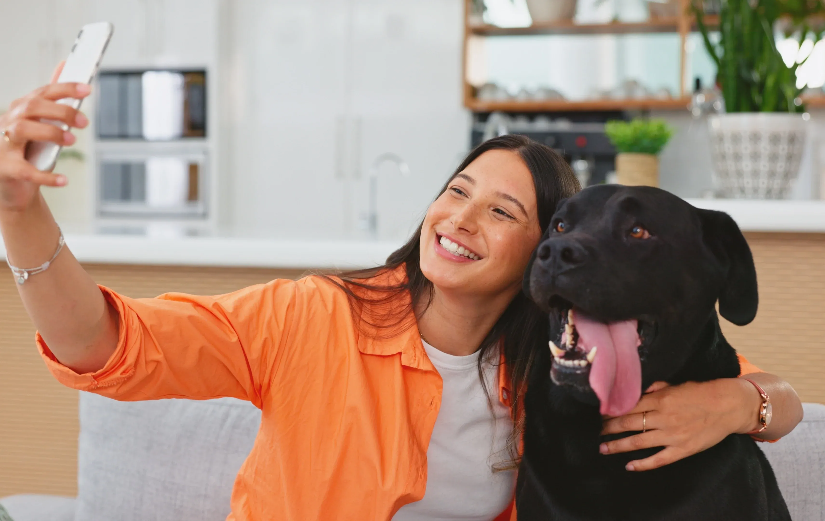PetPassport