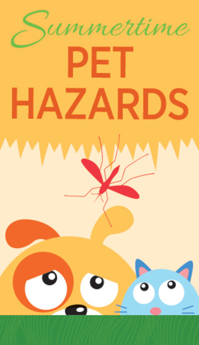 Summertime Pet Hazards Infographic