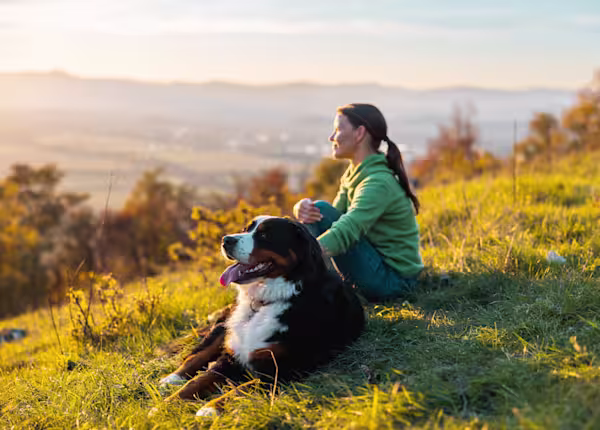 The paw-sitive mental health impact of pets