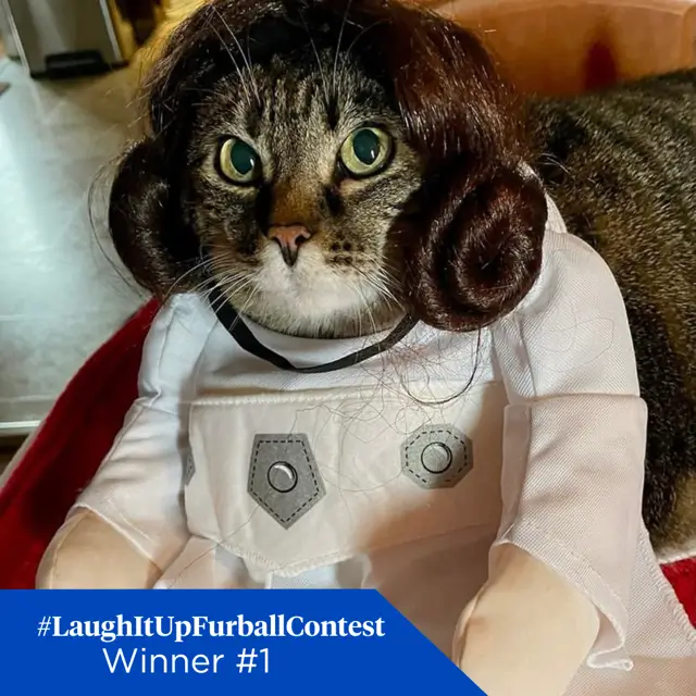 01 Winner FB mizzoutiger95