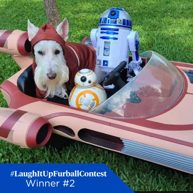 02 Winner FB kryptothescottiedog