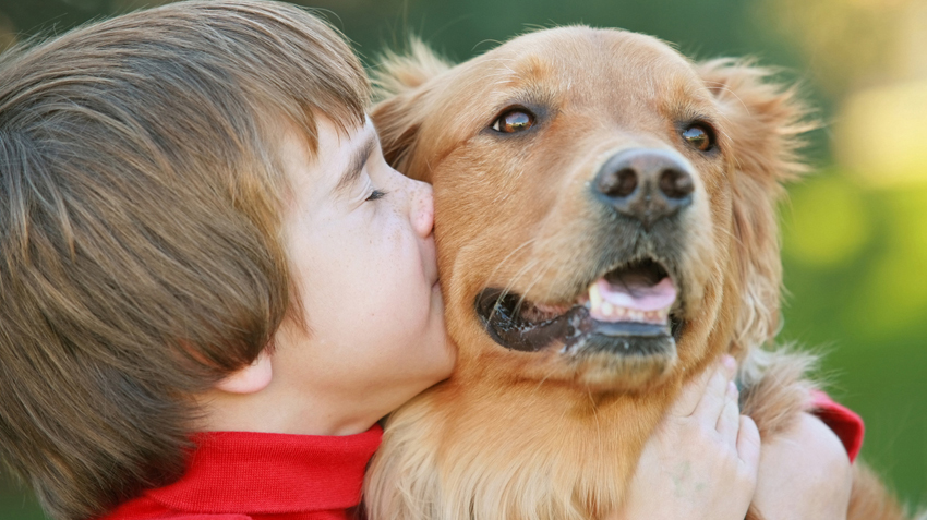 What to do if store family dog bites child