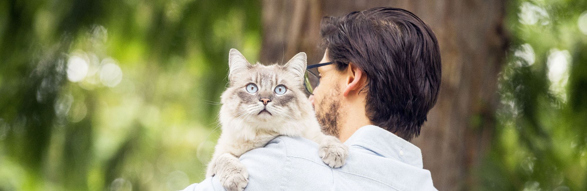 Lost cat spends a perilous night in the sewer