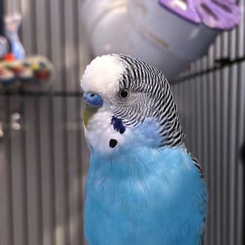 2023-WPN-birdie-sanders