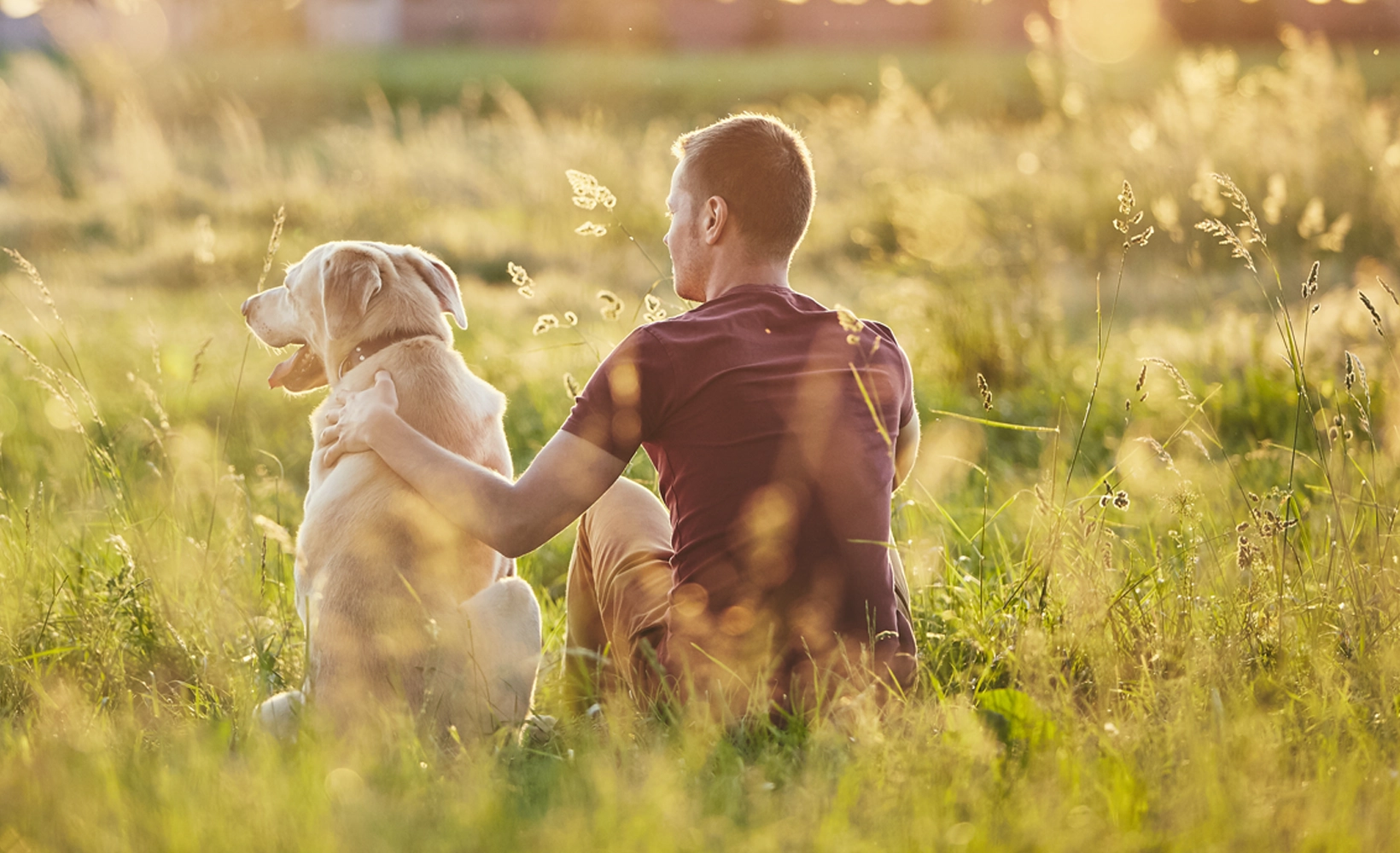 Allergy coverage - Man and dog sitting in field