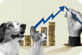 Veterinary services costs outpacing inflation