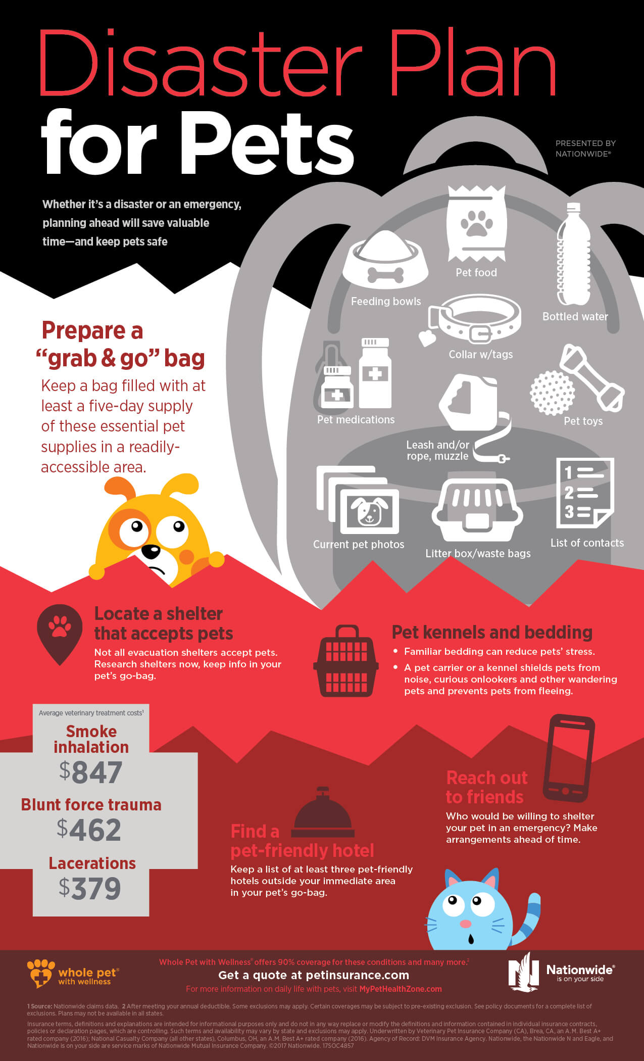 Disaster Plan for Pets Infographic Pet Health Insurance & Tips