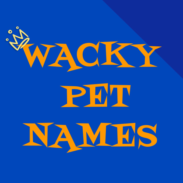 10391F CON 2025 Spring Companion 2025 Wacky Pet Names Ad