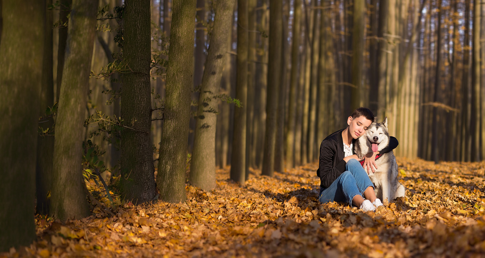 Personalized health insights for the pet you love 