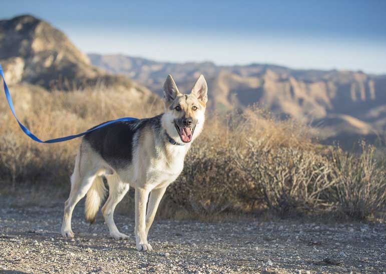 DianeLewisPhotography-6