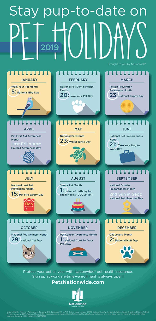 Jan-2019-Pet-Gazette-Treats-for-Employees-infographic