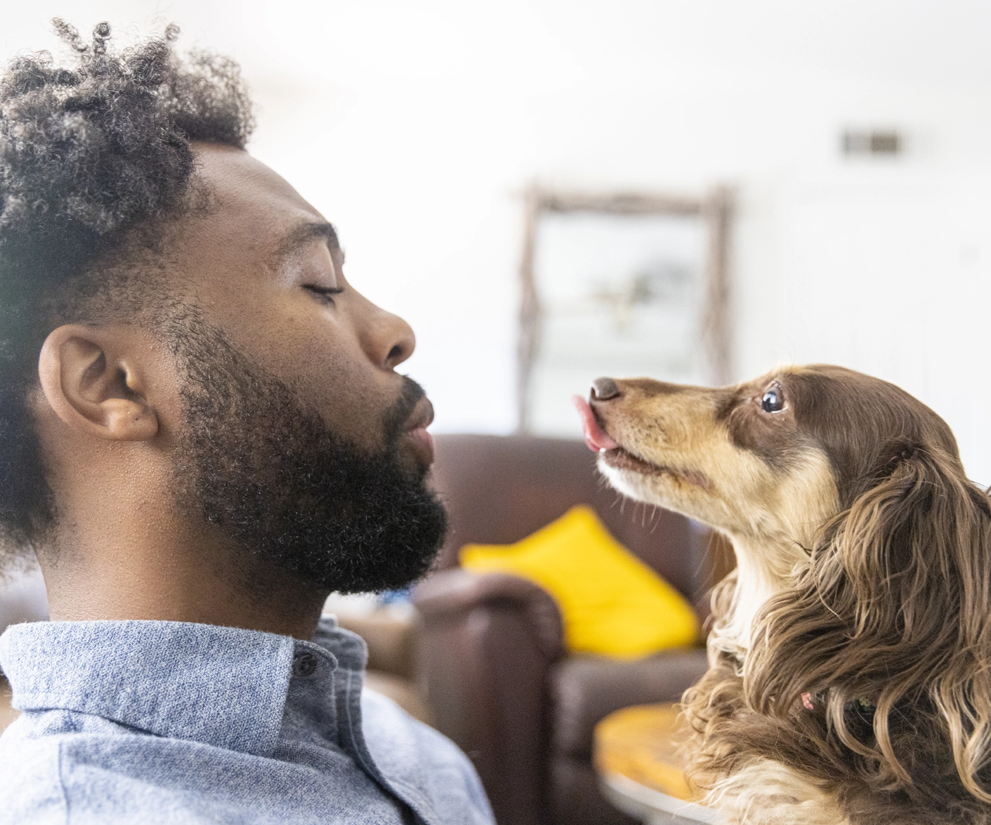 Cancer coverage - Dog and pet parent looking at each other