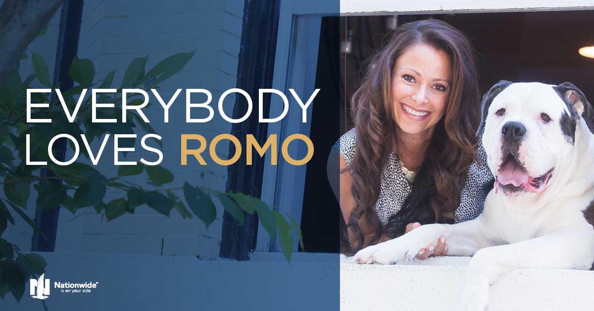 Real Life January 2017