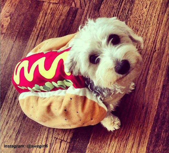 Hot-Dog