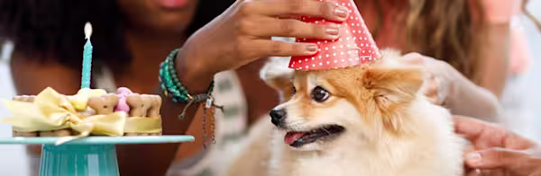 Celebrate National Pet Month