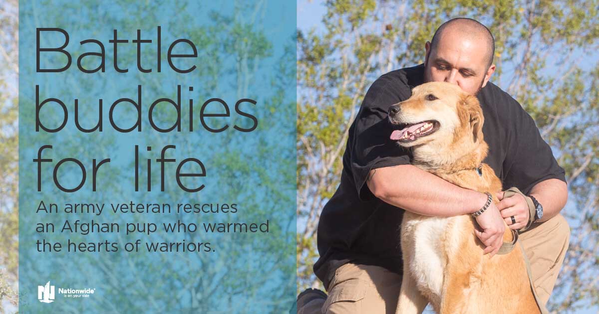  Real–Life July 2017