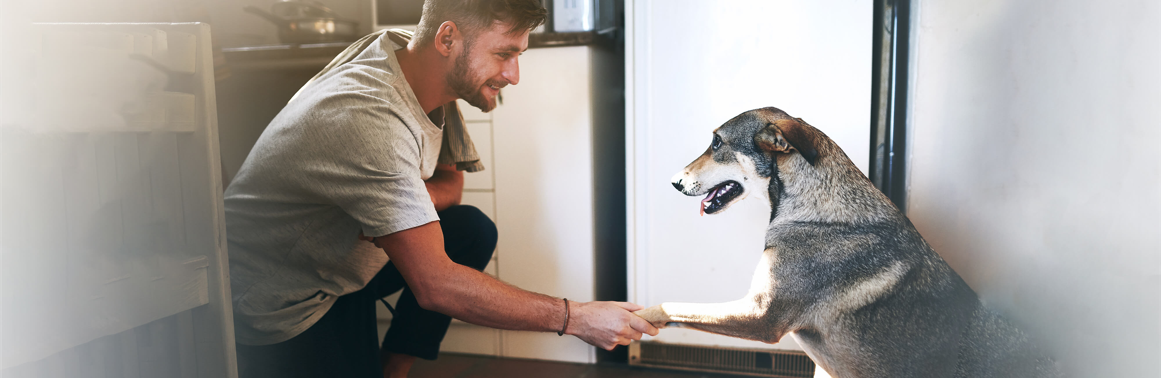 The experts’ guide to great pet names