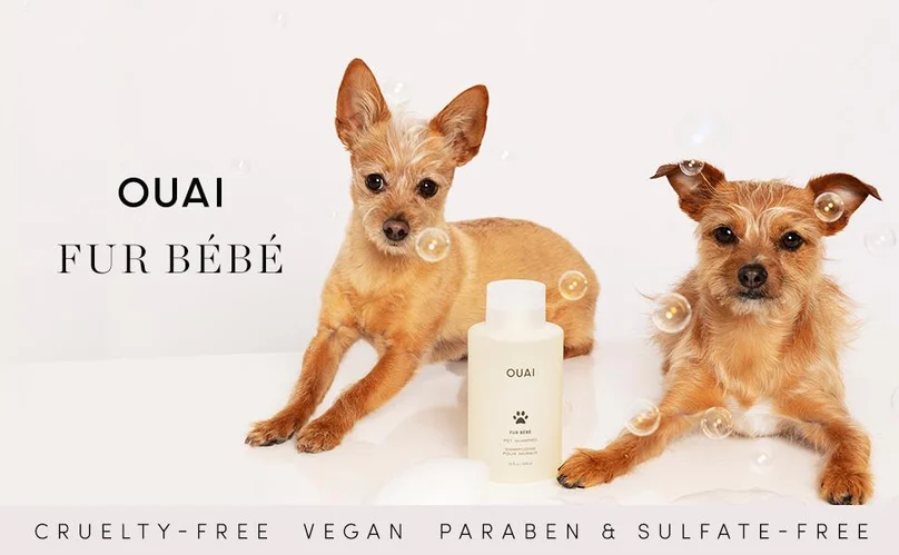 8f43401b-4704-4920-9f27-fa9cf574f1b7. CR0,0,970,600 PT0 SX970 V1