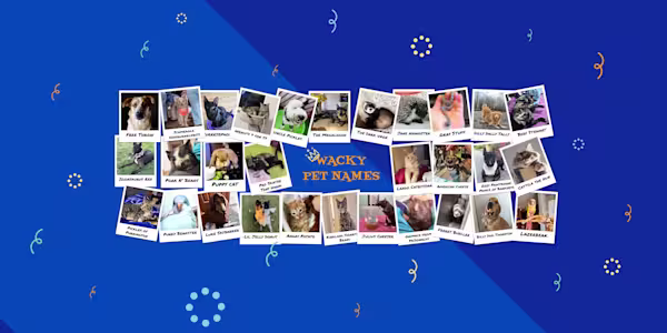 The wackiest, wildest pet names of the year!