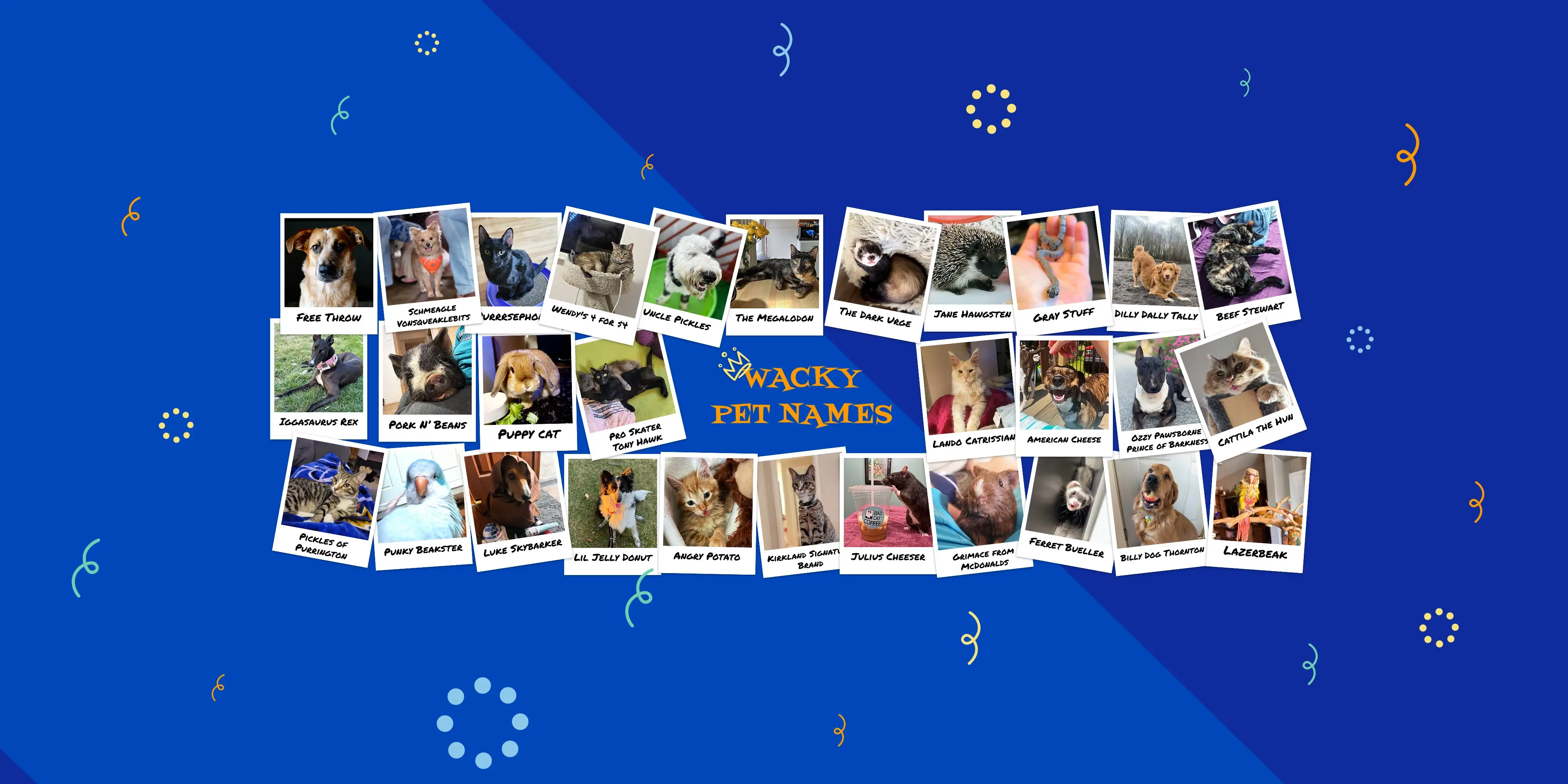 The wackiest, wildest pet names of the year!