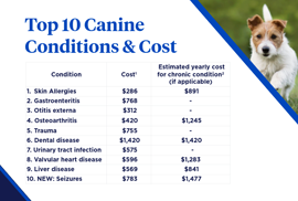2026 top 10 canine conditions