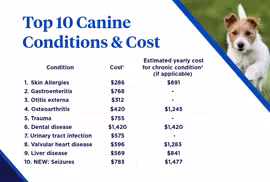 2026 top 10 canine conditions