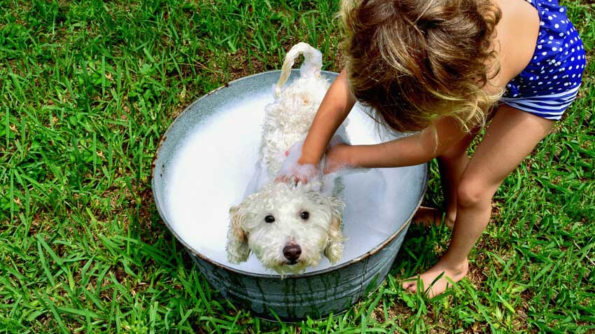 Kids-corner-grooming-tipsHero850