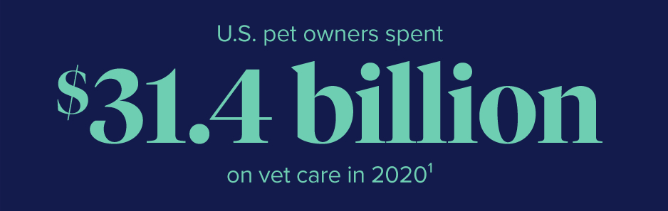 U.S pet owners spent $31.4billion on vet care in 2020.