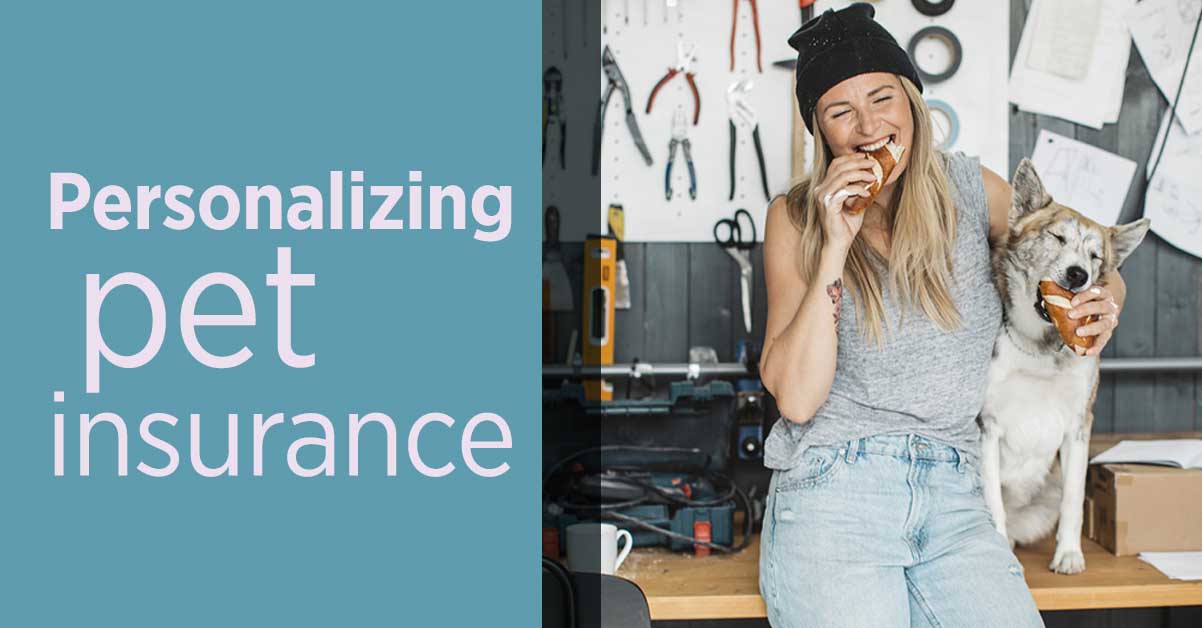 7341 January-2020-HR-Pet-Gazette-Header-Banners TIPS-OF-THE-TRADE