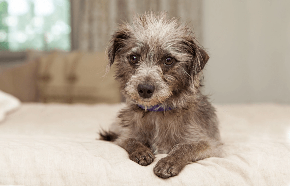 3-Fun fact-Mixed small GettyImages-477389948