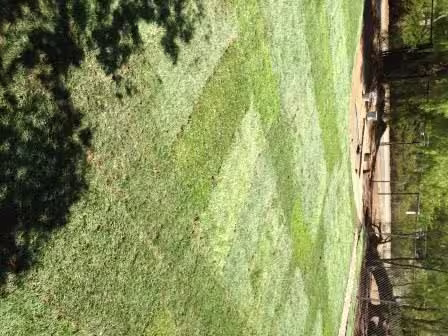 photo11