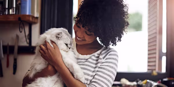 At-home cat checkup guide