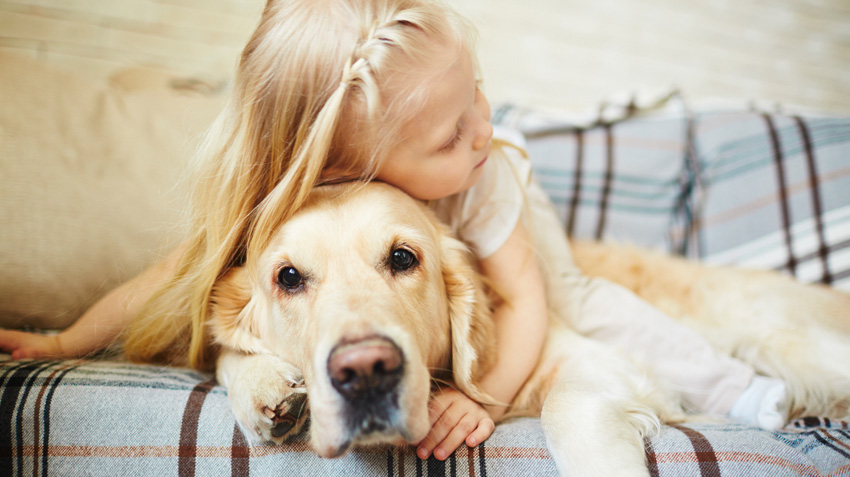 10 Best Dog Breeds for Families