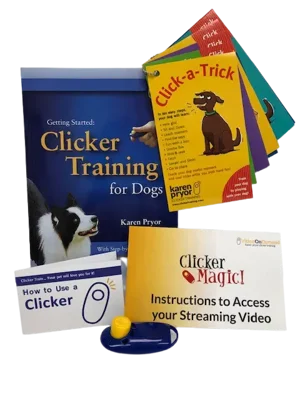 IMG_1566__1_-removebg_480x640