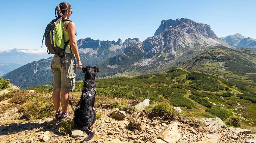 9 essential tips for hiking with your dog